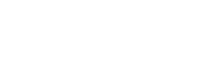 STALEX